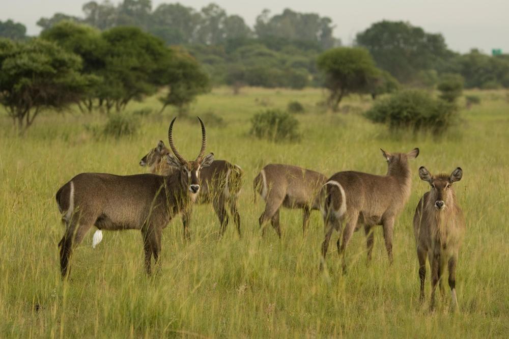Kedar Heritage Lodge, Conference Centre & Spa Rustenburg Luaran gambar