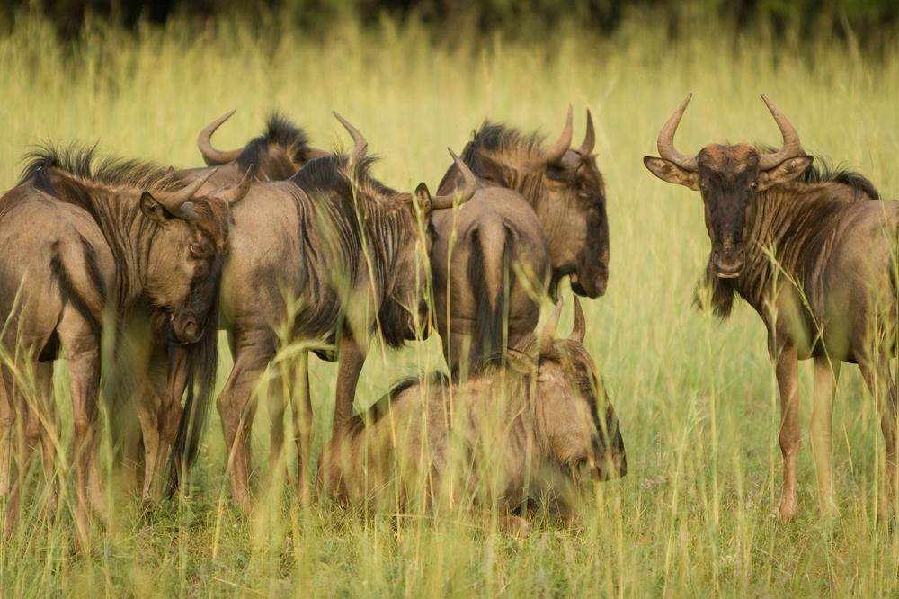 Kedar Heritage Lodge, Conference Centre & Spa Rustenburg Luaran gambar