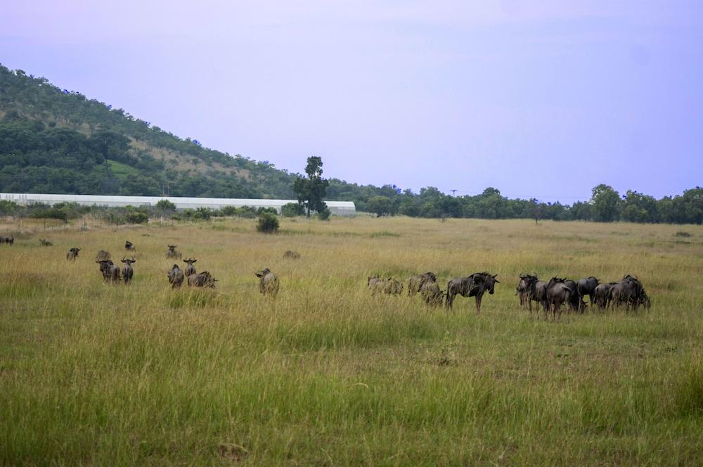 Kedar Heritage Lodge, Conference Centre & Spa Rustenburg Luaran gambar